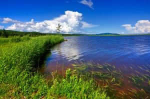 Beaver Brook